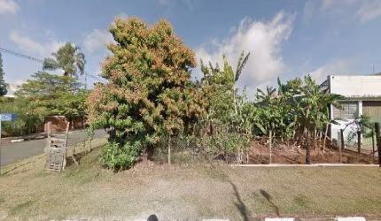 Terreno comercial para alugar no Jardim Berlim, Jaguariúna  por R$ 3.000