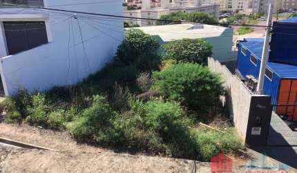 Terreno à venda Cambuí em Campinas
