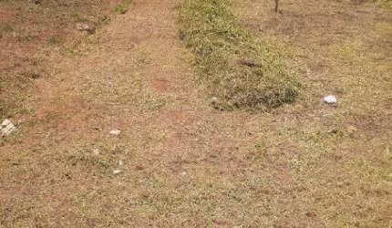 Terreno à venda Jardim Aranha Oliveira em Santa Bárbara D'Oeste