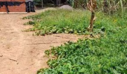 Terreno para aluguel Chácaras São Bento em Valinhos