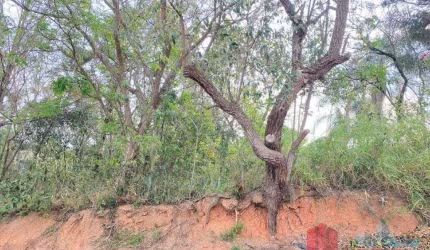 Terreno à venda Colinas de San Diego em Vinhedo