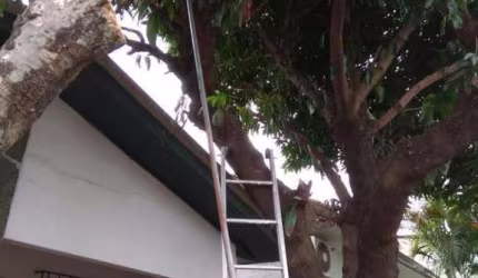 Casa em ótio bairro de São Leopolo