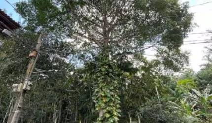 Vendo Casa em Belém - Condomínio Morada Verde - 3 Suítes