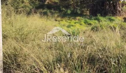 Terreno Padrão em Capitólio