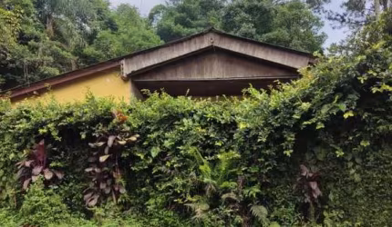Chácara para Venda em Franco da Rocha, Jardim Alice, 3 dormitórios, 1 suíte, 2 banheiros, 2 vagas