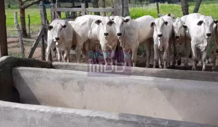 Fazenda Porteira Fechada em Salgado-SE