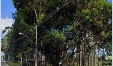 Terreno com 54.330,12m²  à venda, Cipó Guaçú, Embu-Guaçu, SP