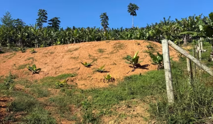 Terreno / Sítio à venda em Barra Velha – Rio Novo