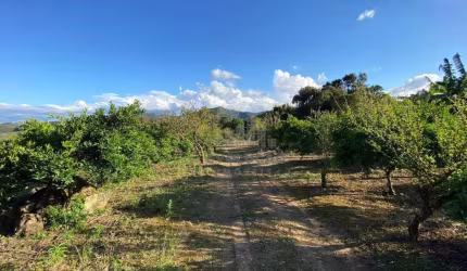Sítio à venda, 150000 m² por R$ 1.500.000,00 - Oliveira - Tijucas/SC