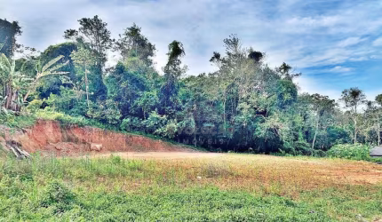 TERRENO, Escritura, 2 andares - Ipiranga - Santa Catarina