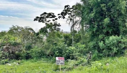 Terreno à venda, 360 m² por R$ 290.000,00 - Morro da Bina - Biguaçu/SC