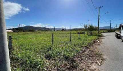 Terreno à venda, 360 m² por R$ 232.000,00 - Guarda do Cubatão - Palhoça/SC