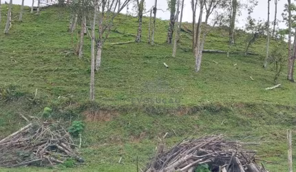 Chácara com 30.000 m² em Rancho Queimado/SC