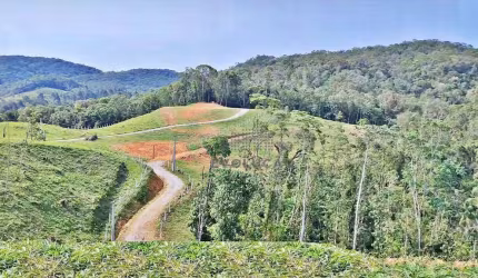 TERRENO 24.217 m² - Barro Branco - São Pedro de Alcântara