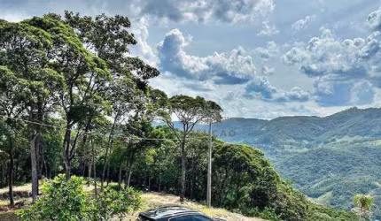 TERRENO 2.500 m², Escritura - Santo Aamaro da Impratriz