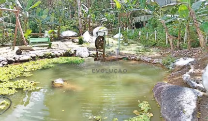 Sítio 3.930m², Piscina, Açude - Três Riachos - Biguaçú