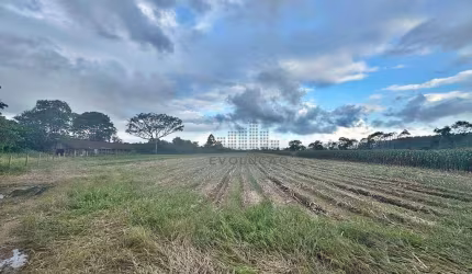 TERRENO,  47.775,00 m²  Escritura - Enseada de Brito