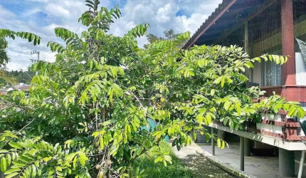 CASA 2 Quartos, 1 Suíte, 2 Vagas - Santo Amaro Imperatriz