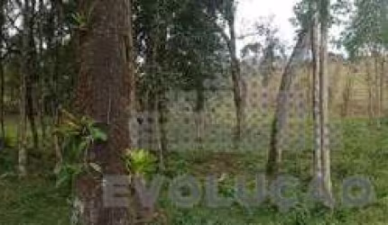 Chácara com 20.000m², Selo Orgânico em Rancho Queimado SC
