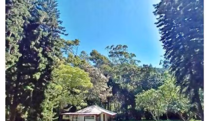 Terreno 175.000 m² - Rio Vermelho - Florianópolis
