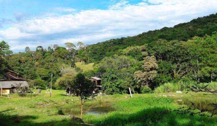 Sitio a Venda - Forquilhas - São José/SC