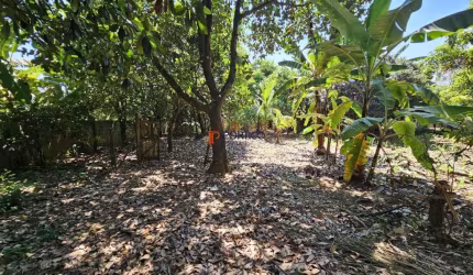 Terreno à venda em Paulínia, São Paulo