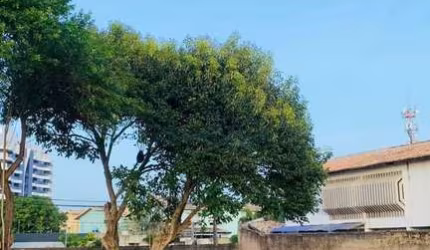 Lote / Terreno em Buraquinho  -  Lauro de Freitas