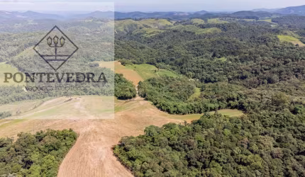 Área para Venda em Campo Magro, ROSEIRA DE SANTA RITA