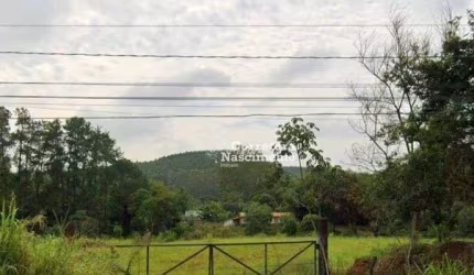 Terreno para alugar, 1000 m² por R$ 6.000,00/mês - Bandeira Branca - Jacareí/SP