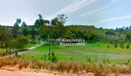 Terreno à venda, 9800 m² por R$ 490.000 - Veraneio Ijal - Jacareí/SP