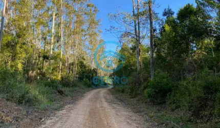 Belíssima Área Rural para Fazenda com Terreno de 266 HECTARES à venda em Tijucas/SC