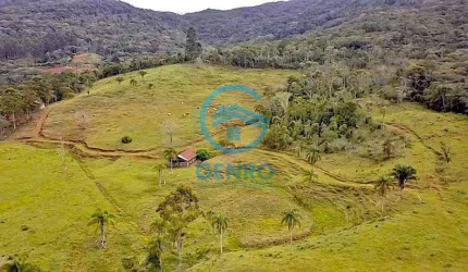 Área Rural para Sítio com Riacho e Terreno de 35 HECTARES à venda em Porto Belo/SC