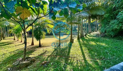 Sítio em Meio a Natureza com 02 Riachos e Terreno de 120.000m² ( 12 HECTARES ) à venda em Tijucas/SC