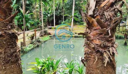 Chácara em Meio a Natureza com Cachoeira, Lagoa e Terreno de 5.000m² à venda em Canelinha/SC