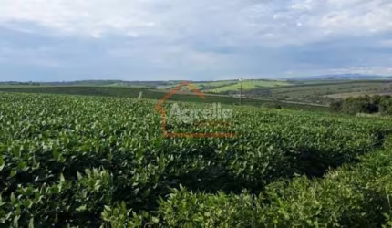 SÍTIO COM 8 ALQUEIRES Á VENDA NO DISTRITO MARTINHO PRADO JUNIOR - MOGI GUAÇU-SP.