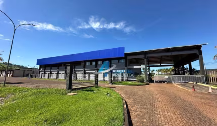 Barracão Industrial para alugar com 20.000 m² - Conjunto Habitacional Jamile Dequech - Londrina/PR