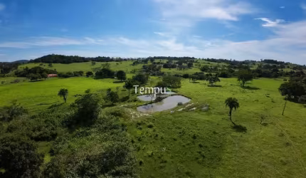 Fazenda 3 alqueires em Anicuns - Excelente para plantio
