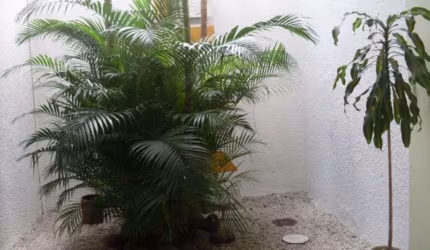 Apartamento em Centro Histórico