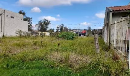 Terreno para Venda - 0m², 0 dormitórios, Hípica