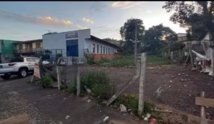 Terre na Av. Juca Batista - Comercial ou residêncial