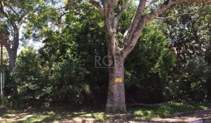 Terreno para Venda - 0m², 0 dormitórios, Teresópolis