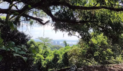 Terreno para Venda - 792m², 0 dormitórios, Nonoai