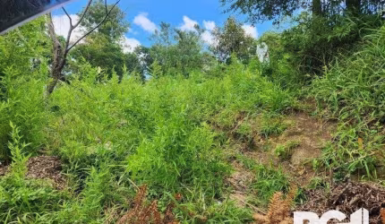 Terreno Residencial em Belém Velho