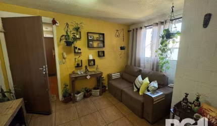 Apartamento em Campo Novo
