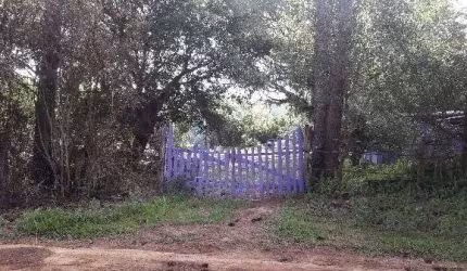 Terreno para Venda - 0m², 0 dormitórios, Lageado