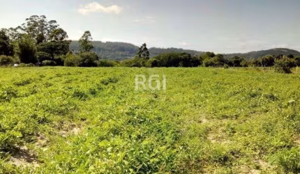 Sítio para Venda - 20060m², 0 dormitórios, Extrema
