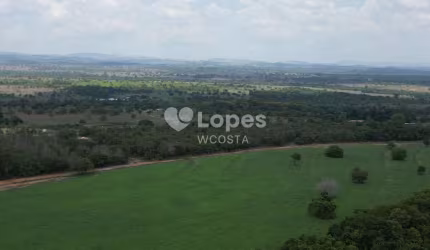 Fazenda de 1.700 alqueirão, 100 km de Araguaína