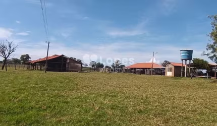 Fazenda de 115,5 alqueirão, Quirinópolis/GO