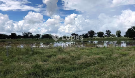 Fazenda de 6.345 ha, Janauba/MG