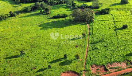 Fazenda de 47,8 alqueirão, Guriatã/MG